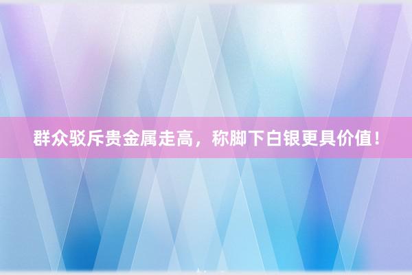 群众驳斥贵金属走高，称脚下白银更具价值！
