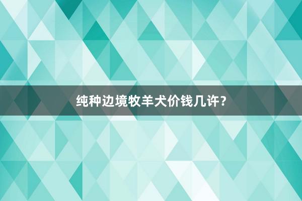 纯种边境牧羊犬价钱几许？